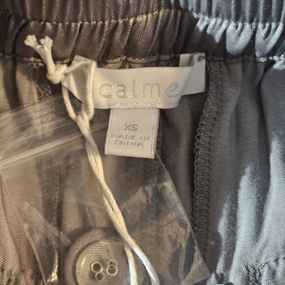 Johnny Was Women Silver Gray Pull on Pants XS Quiet Luxury Resortcore Boho Chic - Picture 6 of 16